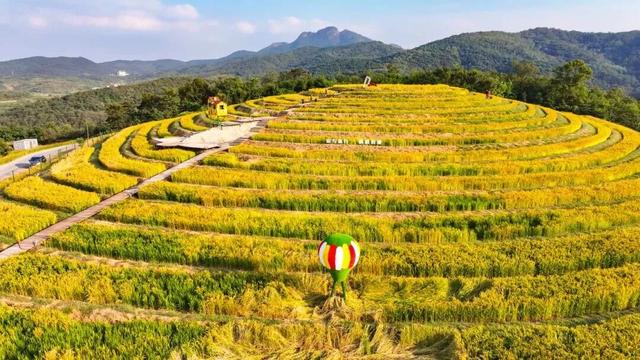 金普居然藏着这么美的公路！总台记者也来打卡拍摄