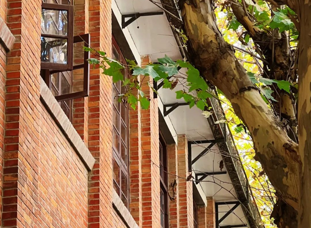 “红房子”，刷屏了！