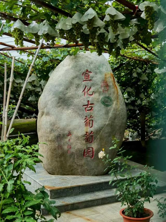 清华大学教授王革华（水木客悠）的文化之旅——暑假一日耍