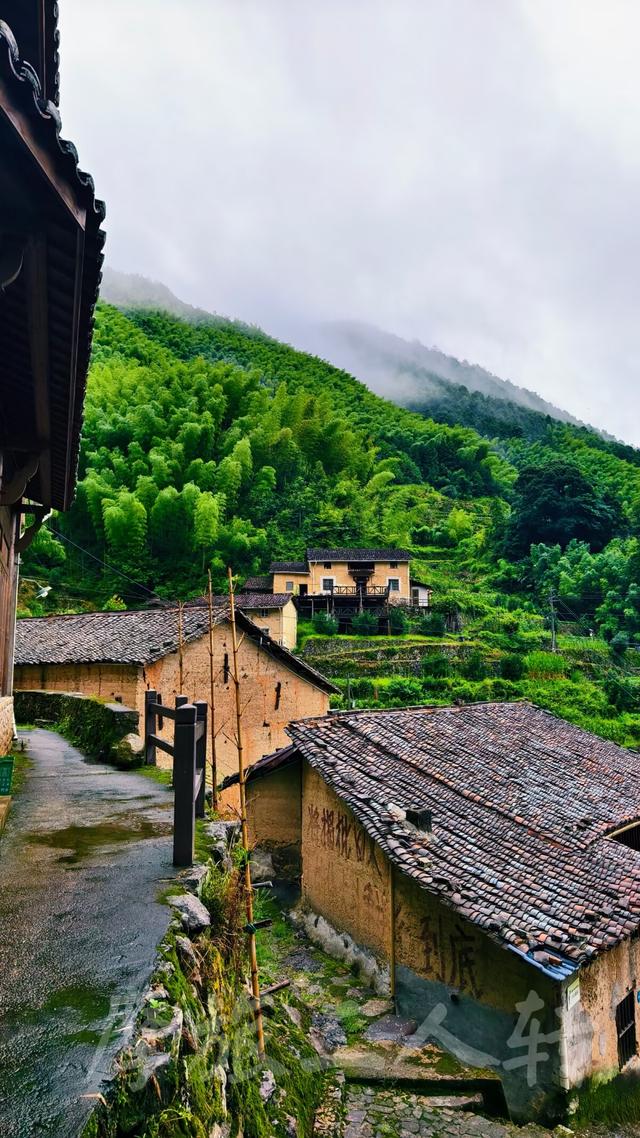 皖浙摩旅二人转——松阳横坑村篇（下）