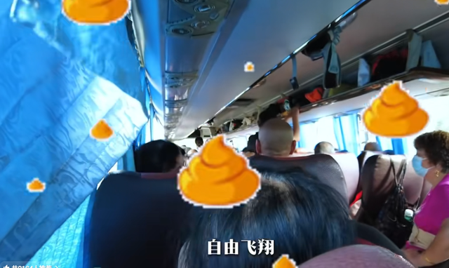 活久见！湖北小伙报团旅行，大妈车上当众大便，全员被臭的捂鼻子