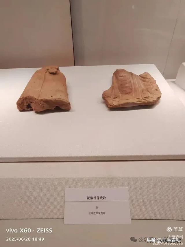 探秘丝路明珠,邂逅巴楚千年文明——走进新疆巴楚博物馆|申艳娟