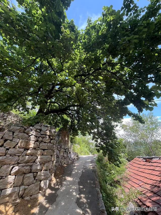 章丘官庄响水泉村，一个古老又美丽的山村