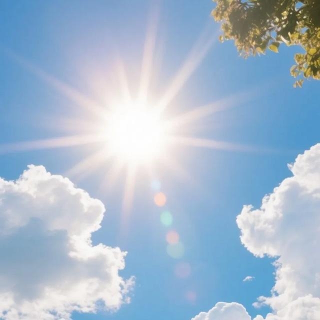 三伏天=减肥黄金30天?搞懂这3个底层逻辑,瘦得比平时快1倍!