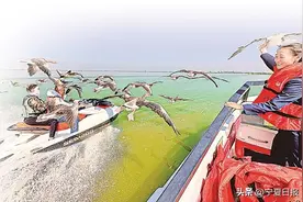 牢记嘱托 勇担使命 奋力谱写中国式现代化宁夏篇章｜让“塞上江南”越来越秀美图片