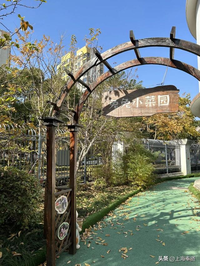 奉浦校园初冬美景大赏，你家娃的学校藏着这样的冬日浪漫