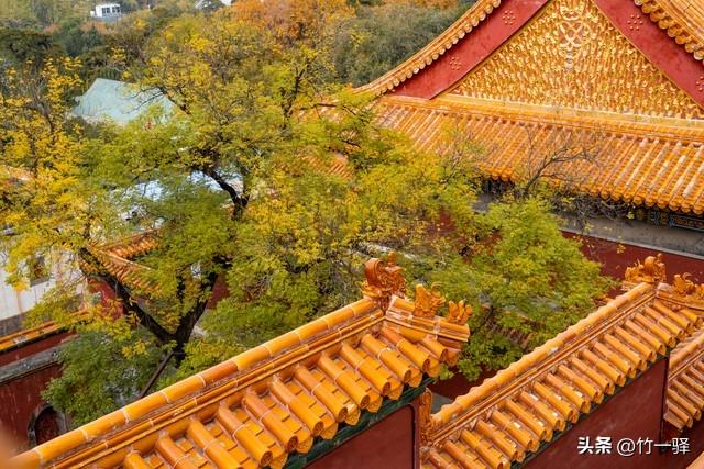 Deepseek和百度AI共同推荐北京红叶区：到北京旅游至少要去三个。