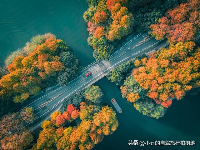 浙江旅行：20-50 岁无目的地必存！7 天玩遍古镇海岛避坑攻略