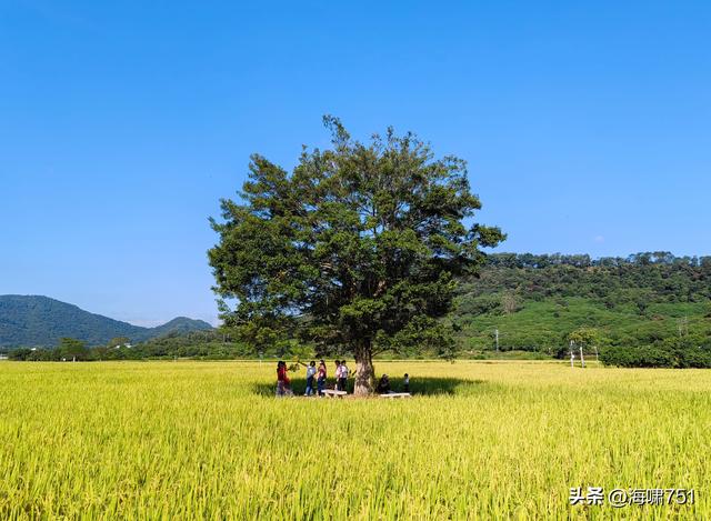 从化艾米稻香小镇