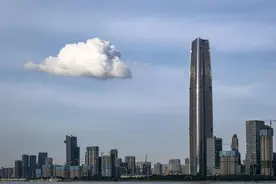 建完了装不起？华中第一高楼武汉绿地中心酒店部分资产寻找买家图片