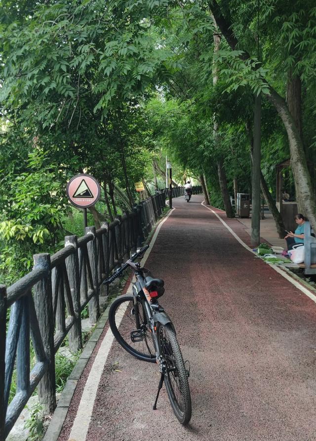 北林绿道游人多