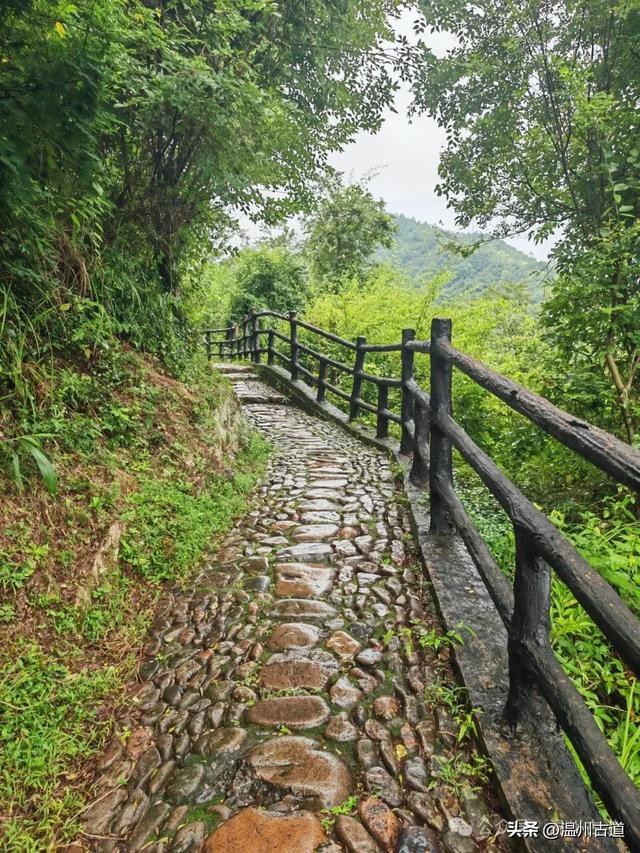 温州这个免门票的小众隐世宝地你可去过？