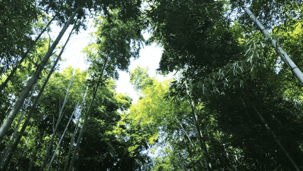 成都10个周末一日游宝地，没有门票~徒步露营溜娃都巴适！