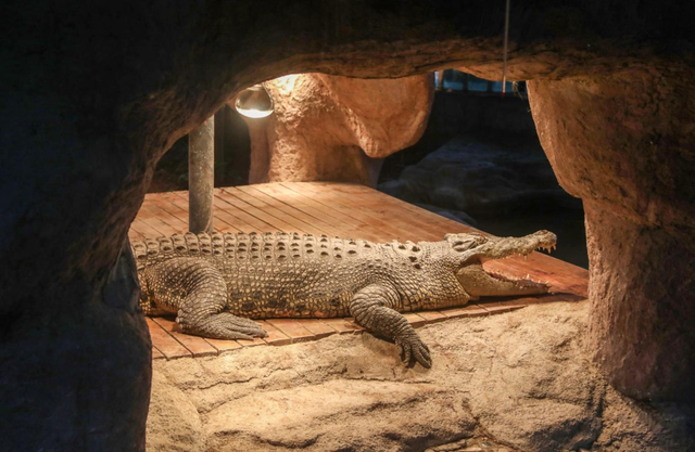 看渝超，逛两江！两江新区景区5折优惠来袭→