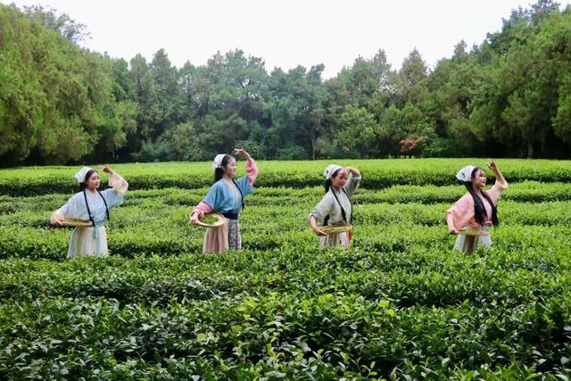 正式投入运营！日照又新增一打卡地