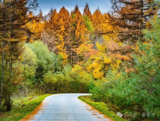 镜瞰秦州·悦秋