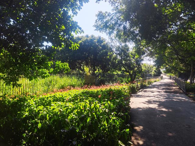 环西丽湖绿道骑行慢行随拍-动个好奇心