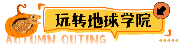相约世界花卉大观园！丰台将迎巨型南瓜王国、全国菊花擂台赛！