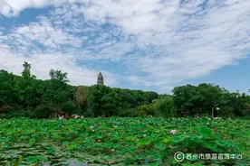 @中、高考生，苏州旅行的专属福利来啦！图片
