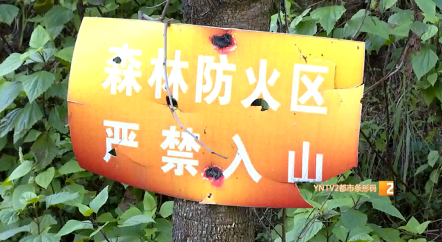 别跑空！长虫山今起封山