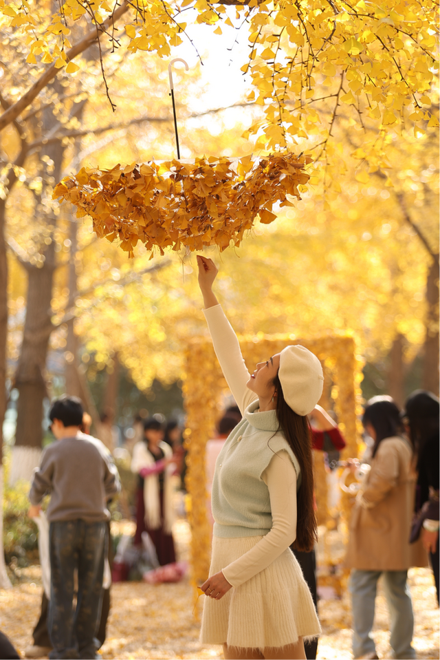 没扫的落叶，都去哪儿了？拱墅这片银杏林靠它火了