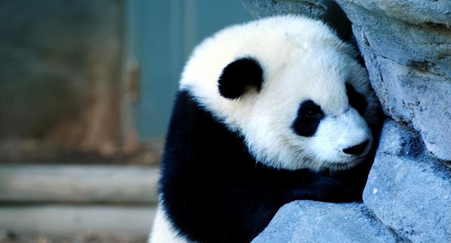 四川省美姑县历史沿革及行政区划