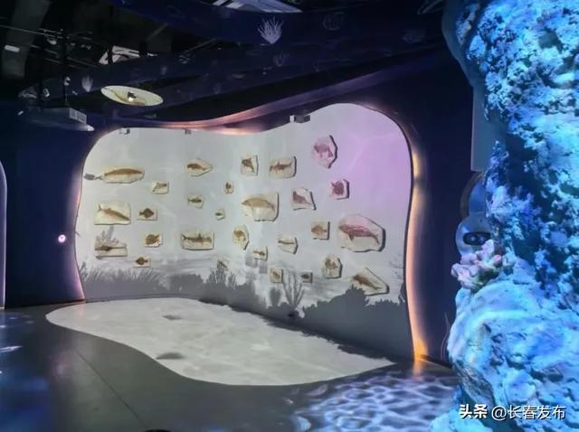走进长春!150个网红打卡地之时空旅程(长春)人工智能科技研学体验馆