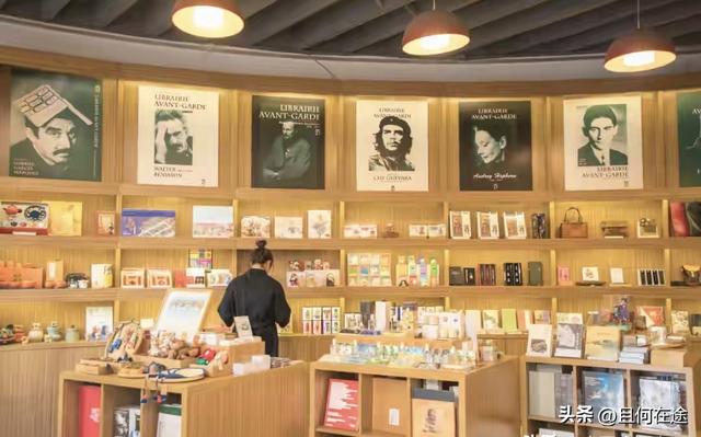 南京“丑萌”梧桐C位出道！颐和路半天游，把民国浪漫拍成表情包