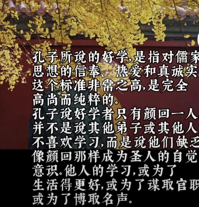 《论语·先进篇》第七章原文、译文及现代启示