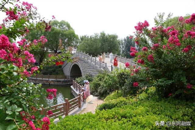 下一个5A：东阿中医药文化旅游区中医药+非遗+文化的现代呈现