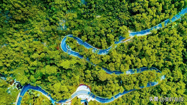 近千骑友盐田狂飙后，这份骑行指南藏不住了