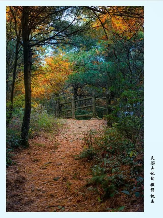 利州＝梦幻秋色打卡地