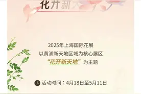 花开新天地，在城市花园“愈”见繁花，2025上海国际花展即将启幕图片