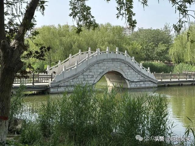 生活在冠县这座小城