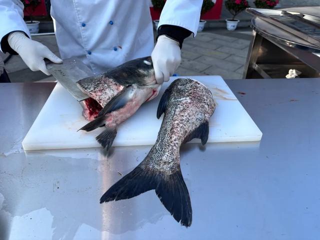 南湾湖请您免费喝鱼汤——冬日暖阳里的鲜味邀约