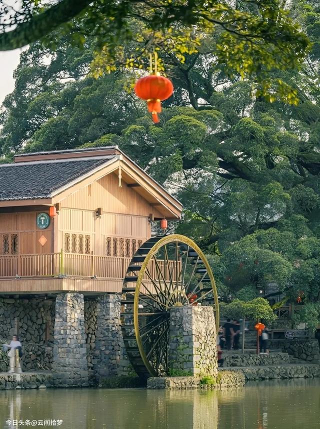 这座 600 年古镇，治愈力远超厦门！百年榕树下，畅享悠然慢时光
