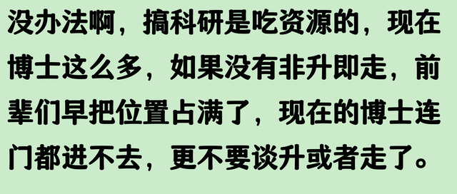为什么只有大学教师搞非升即走？网友：太厉害，讲到本质上了