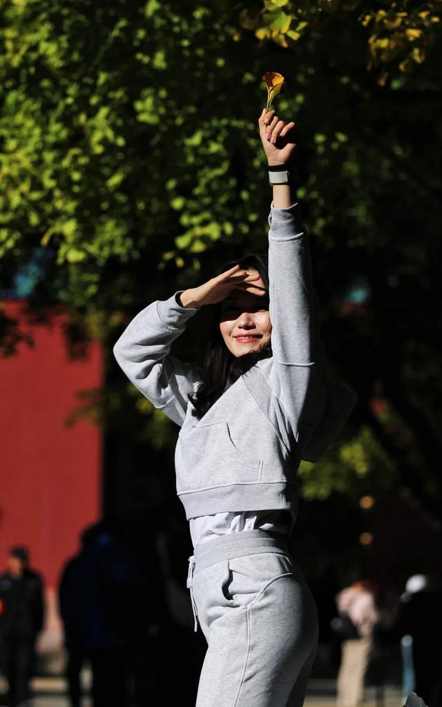 地坛银杏文化节明日开逛!秋日“赶集”天花板来啦→