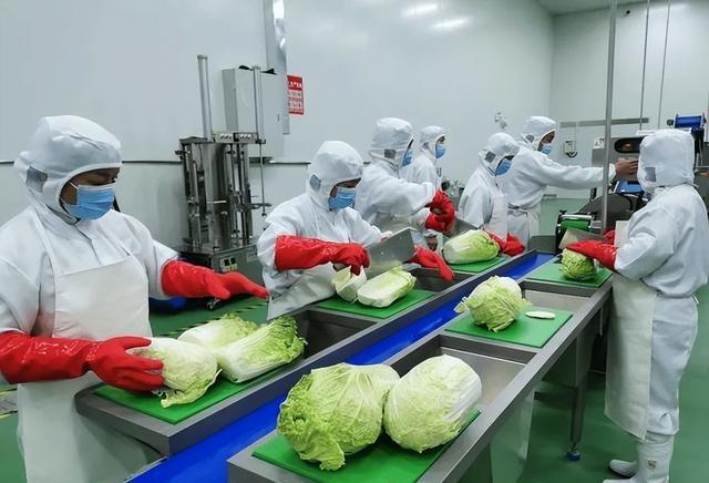 国家下死命令了，在2027年底前	，所有中小学必须告别“校外配餐”