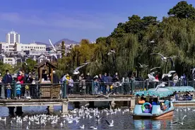 昆明十大网红景点图片