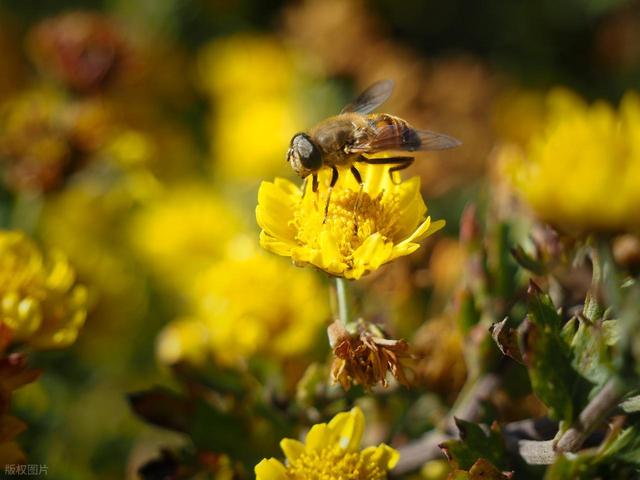 北京人，去了涿州跟高碑店，实话实说：涿州跟高碑店差异巨大