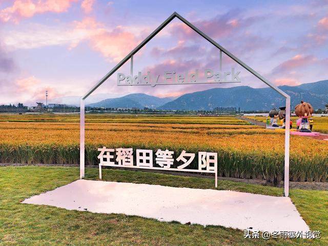 太原丰收节