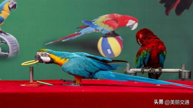 跟着交通去旅行 | 这条亲子游线把“诗和远方”装进一天里!