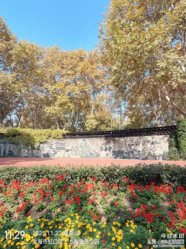 沿着鲁迅的足迹，赏上海秋日美景