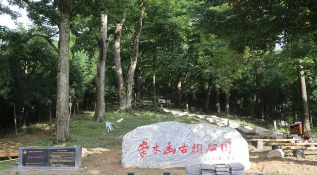 湖南海拔1300米的高山中藏着一个神秘村子，风景不输江西篁岭