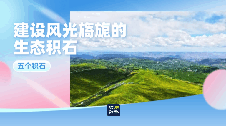 州政协调研组在积石山县开展专题调研