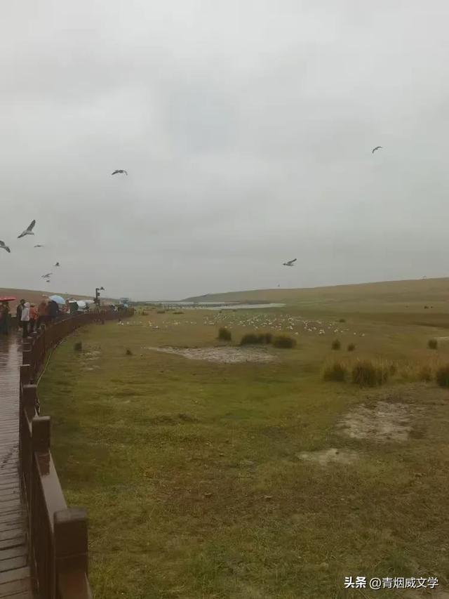 新疆旅行记 七绝十首（二）
