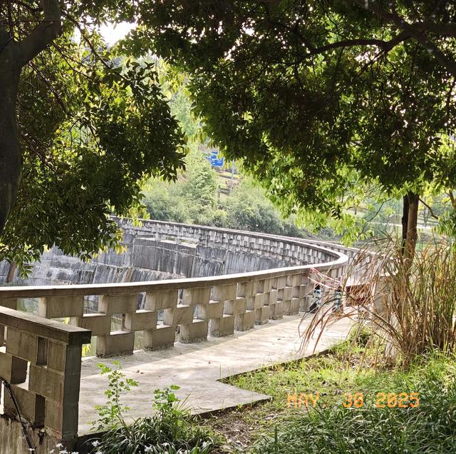 重庆铁山坪森林公园轻徒步路线