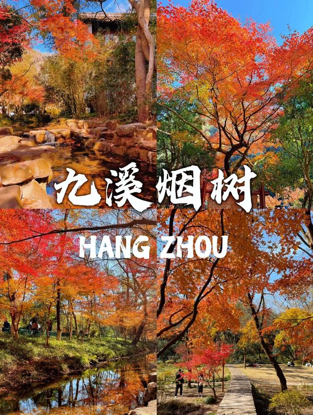 杭州这5个地方彻底火了!不去肠子都悔青!赶紧收藏!