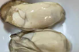 广州到江门高铁一日游图片